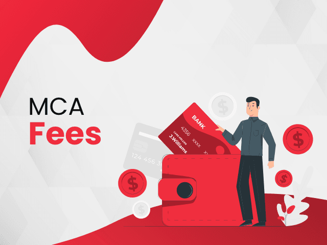 From MCA Fees to High‑Paying Tech Careers: A Complete Guide for Indian Student